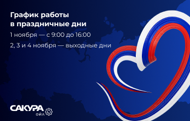 График работы в связи с празднованием Дня народного единства 04.11.2025 г.